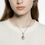 Dziewczyna z myśliwskim srebrnym naszyjnikiem