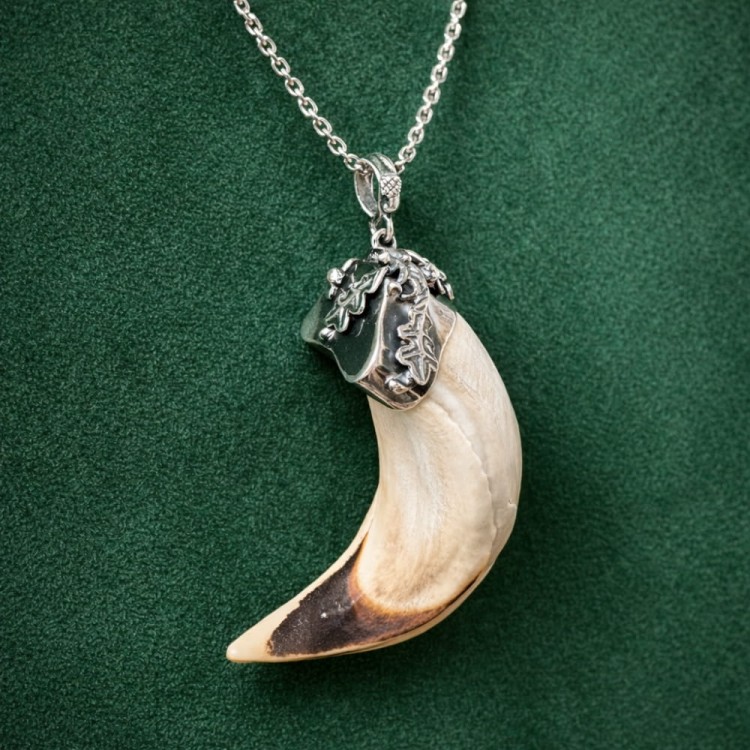 a boar tusk in silver