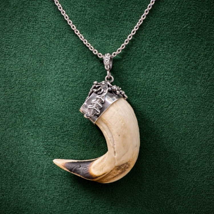 Silver necklace with tusk