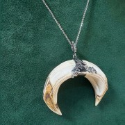 Hunting necklace with wild boar tusks and oak ornament on green suede