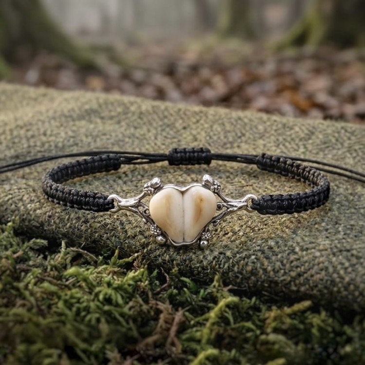 authentic hunting bracelet for men with stag deer teeth and silver