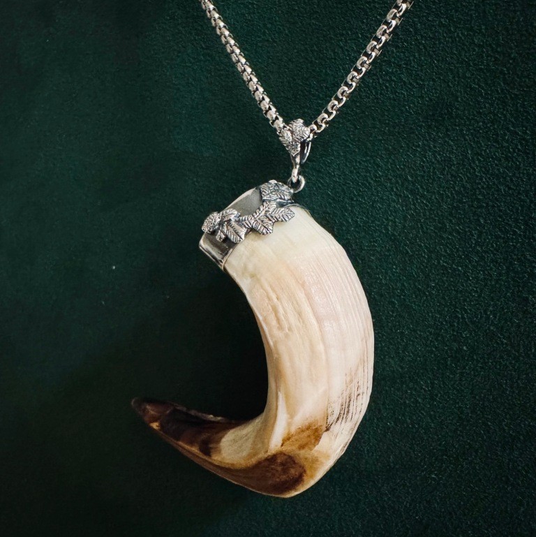 fajka dzika w srebrze